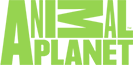 Animal Planet