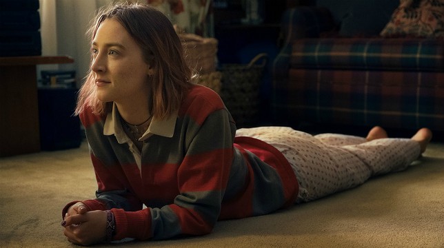 Lady Bird: da domani, giovedì 1° marzo 2018, in tutti i cinema italiani