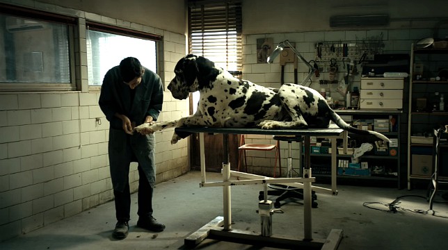 Matteo Garrone in concorso a Cannes con Dogman: guarda il trailer