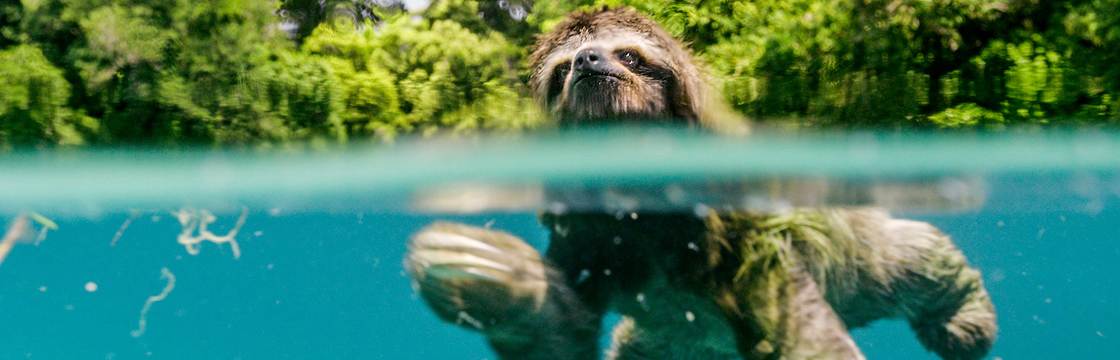 Le meraviglie della Natura al cinema con Earth – Un giorno straordinario