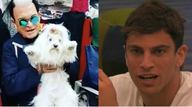 Grande Fratello 2018, Cristiano Malgioglio attacca Filippo Contri: “Turbato dalle sue parole, con i cani non si usa la violenza”