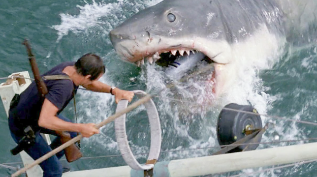 Lo squalo di Steven Spielberg, il film stasera su Rete 4