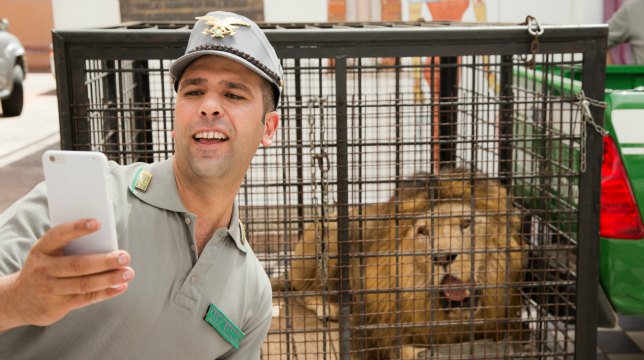 Quo vado?: Il film stasera su Canale 5