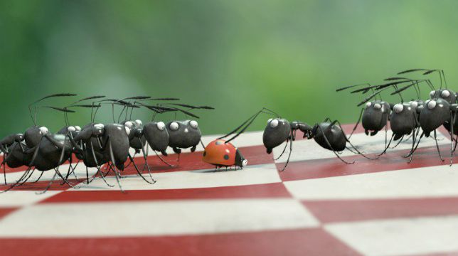 Minuscule: il film di animazione sulla natura stasera su Tv 2000