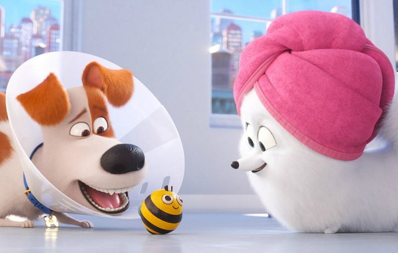 Galleria foto 'Pets 2: il sequel animato stasera in prima tv su Sky Cinema Uno' - foto 1