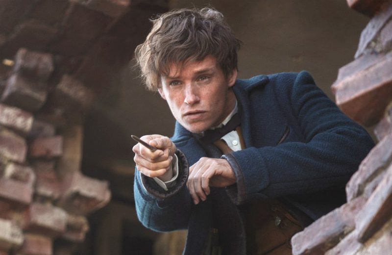 Galleria foto 'Animali fantastici e dove trovarli: il film da Harry Potter stasera su Canale 5' - foto 1