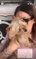 Elisabetta Gregoraci cane Diva