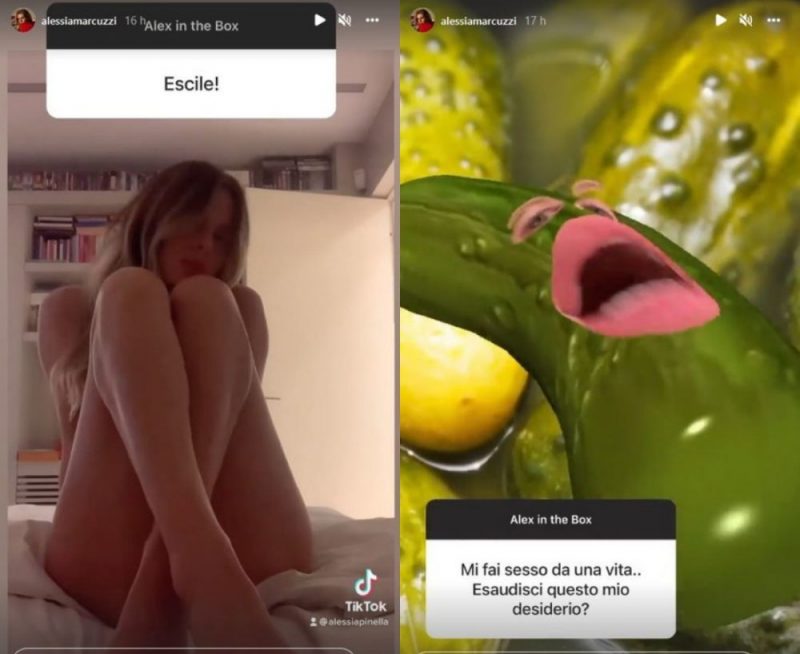 Galleria foto - Alessia Marcuzzi infiamma i social mostrando a tutti i suoi sex toys! Foto 3
