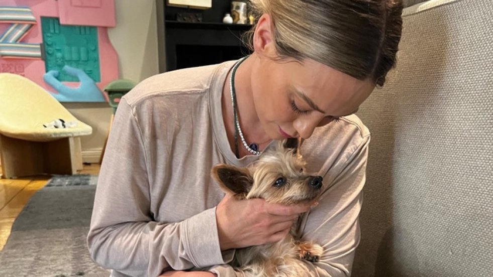 Hilary Duff dice addio al suo cagnolino Jak con un post straziante