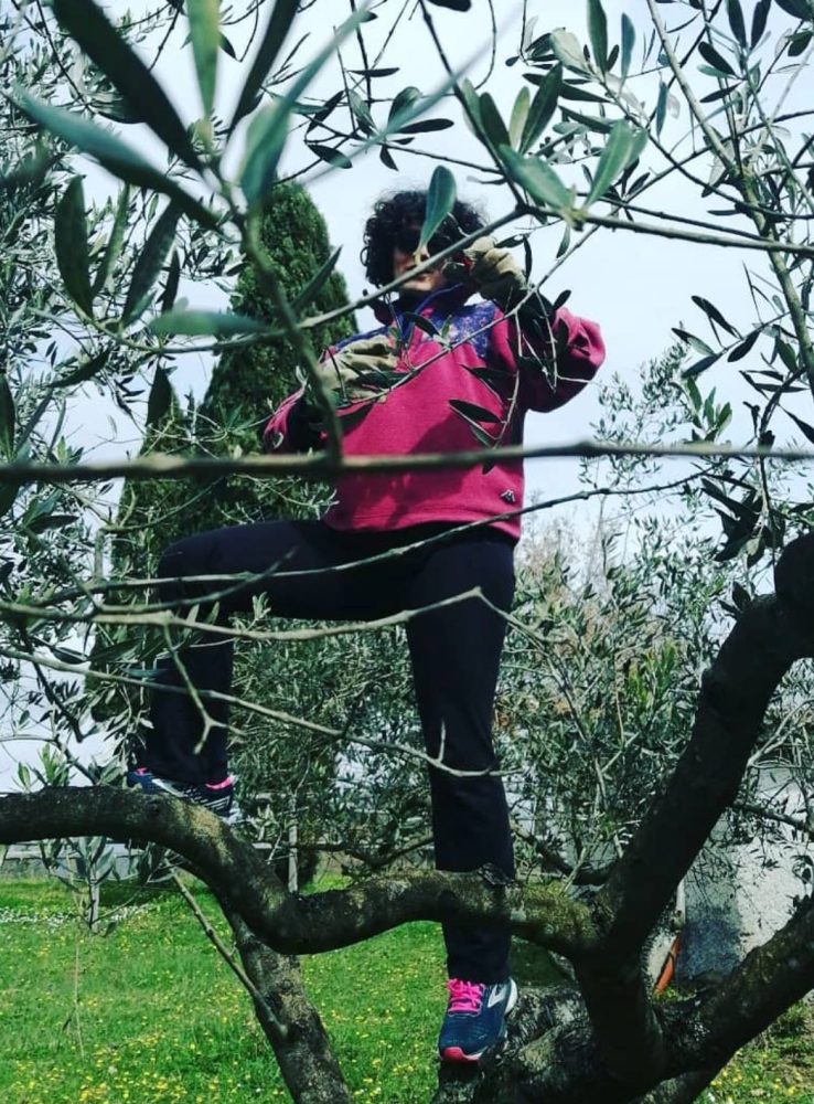 Il Paradiso delle Signore Il Paradiso delle Signore