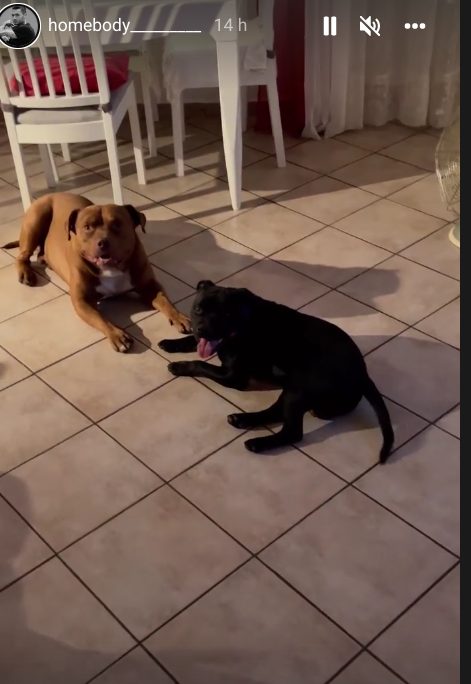 Galleria foto 'Uomini e Donne, Matteo Ranieri shock: beccato con il suo vero amore' - foto 1