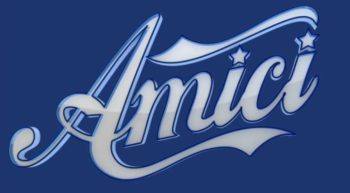 amici 22 amici 22