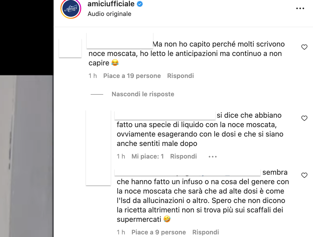 amici amici