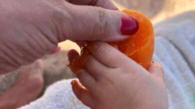 Barbara D’Urso, la sua estate felice: le prime Foto con la nipotina!