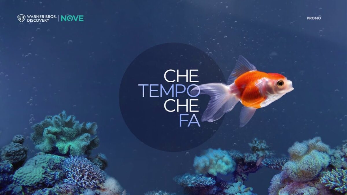 Stasera in TV: film e programmi di oggi domenica 15 Ottobre