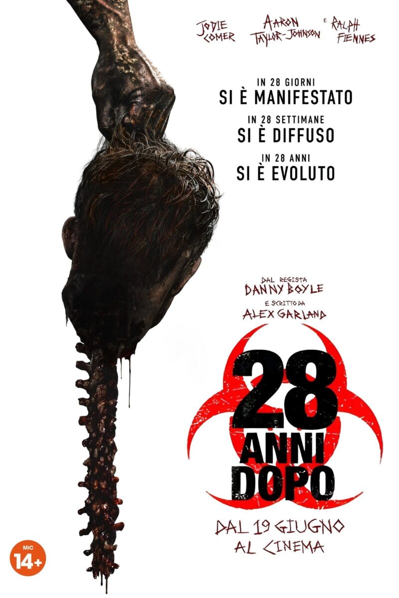5 Film che hanno segnato il 2025: la classifica definitiva